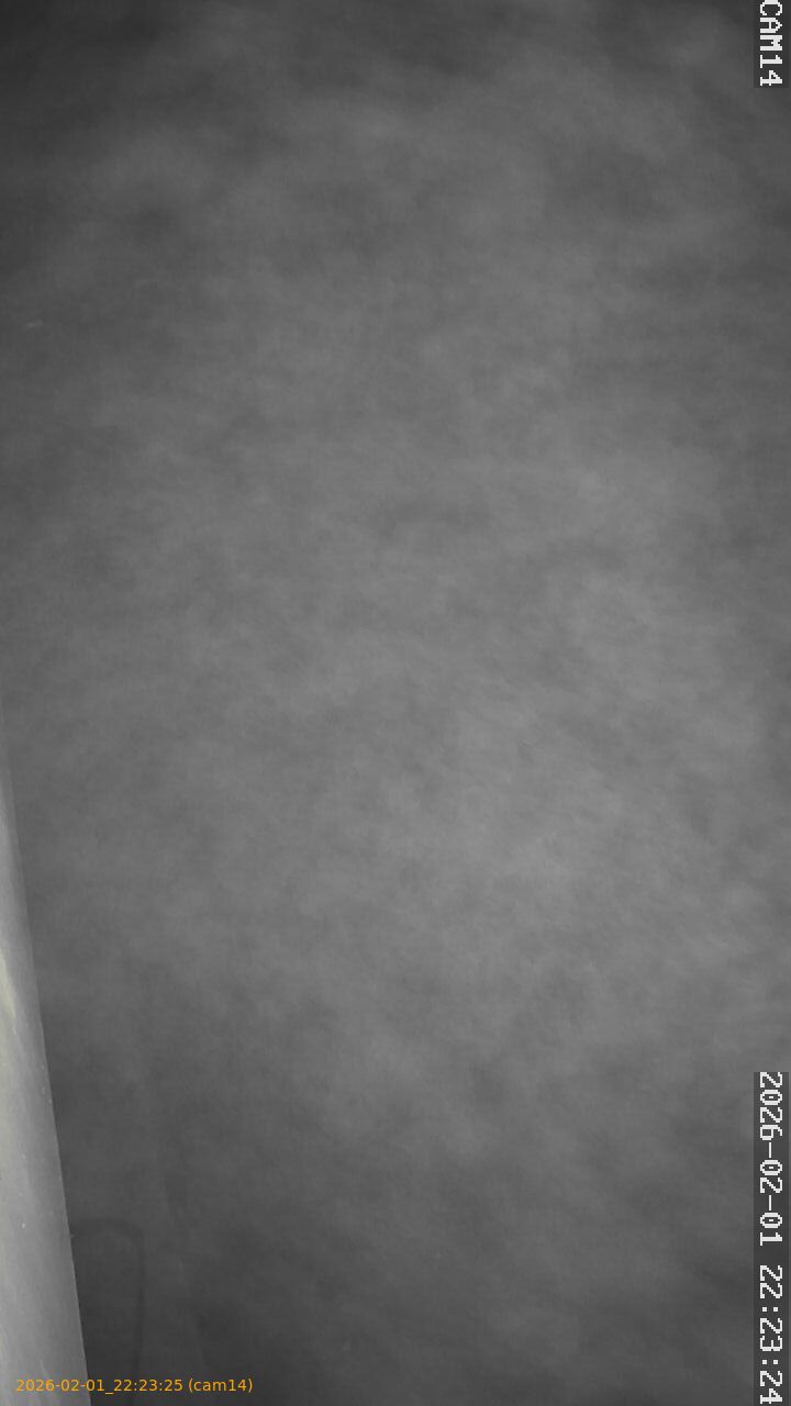 thumbnail_20260201222325