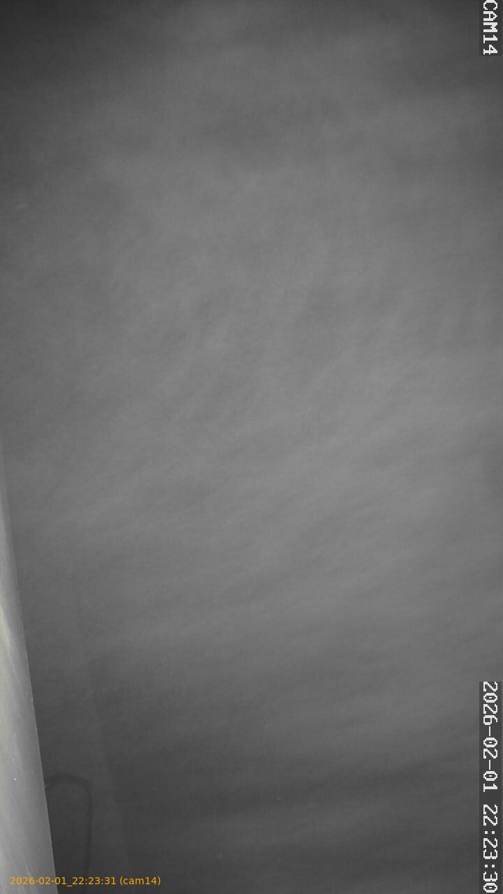 thumbnail_20260201222331