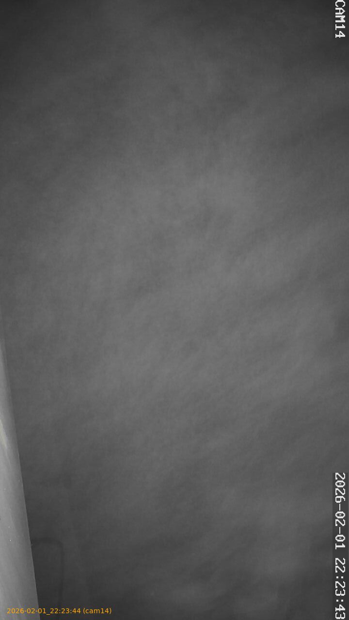 thumbnail_20260201222344