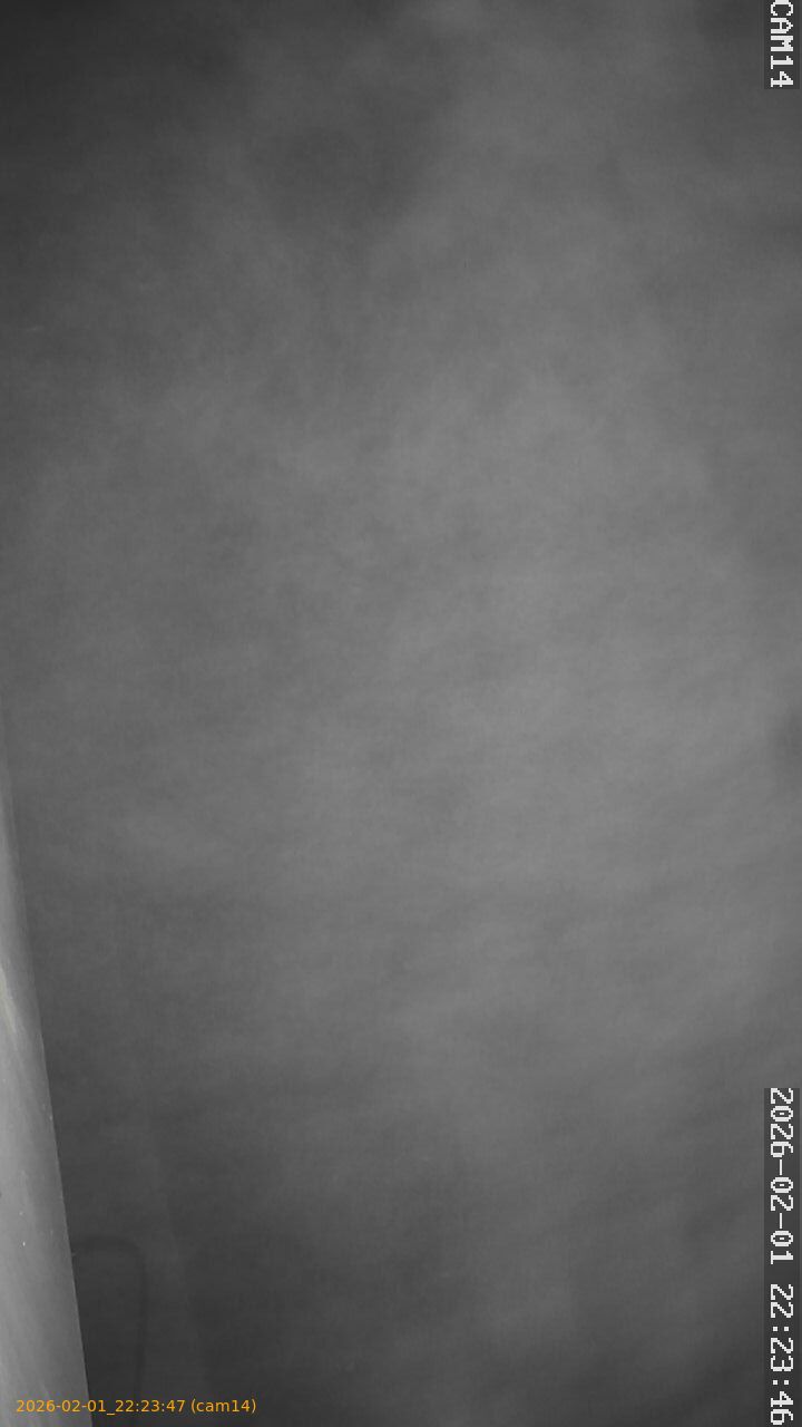 thumbnail_20260201222347