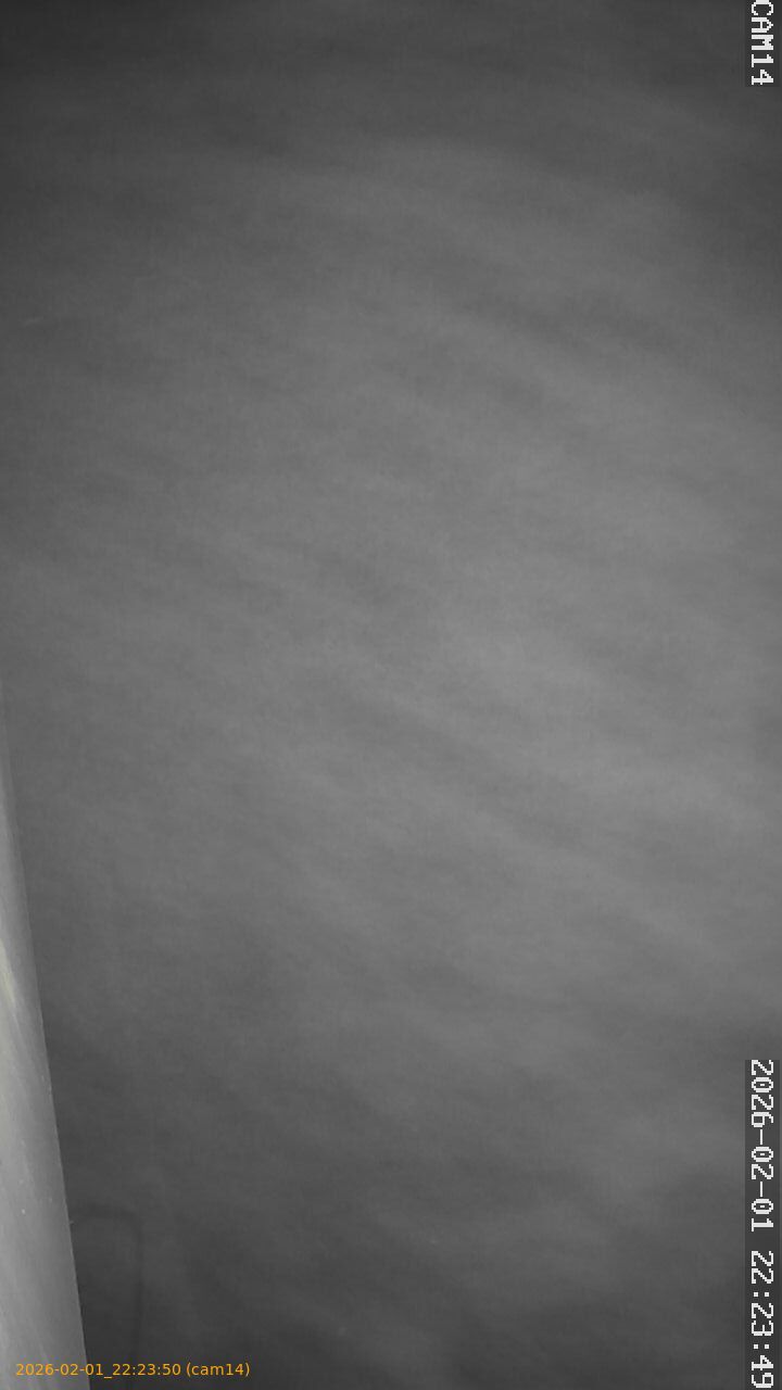 thumbnail_20260201222350