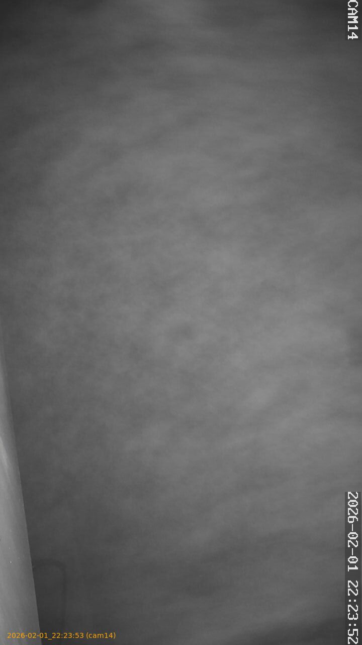 thumbnail_20260201222353