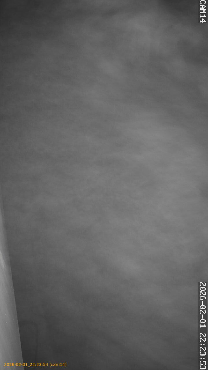 thumbnail_20260201222354