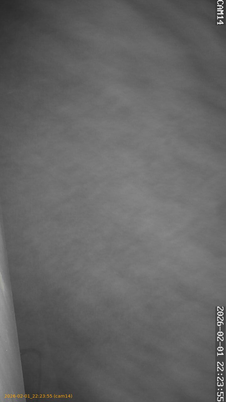 thumbnail_20260201222355