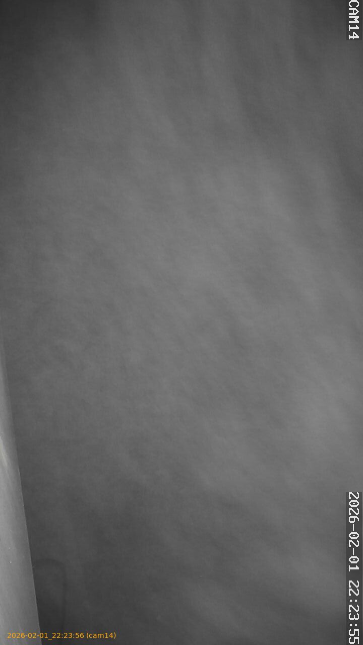 thumbnail_20260201222356