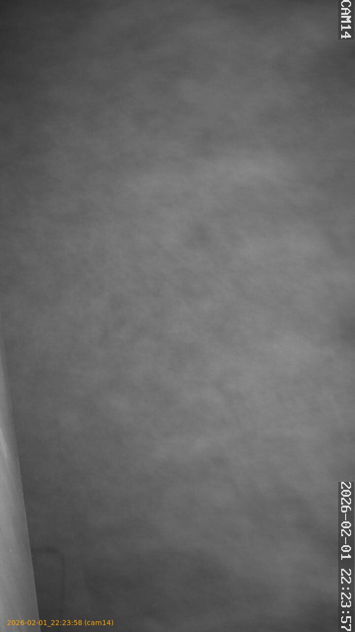 thumbnail_20260201222358