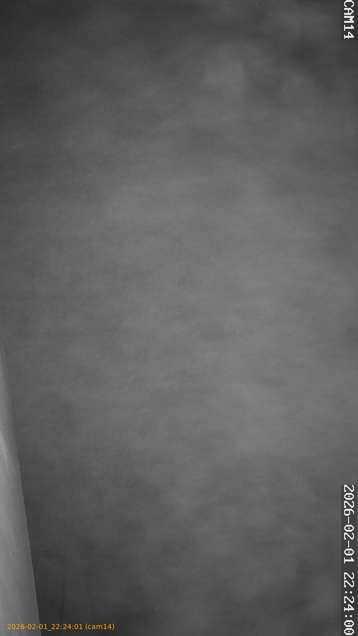 thumbnail_20260201222401