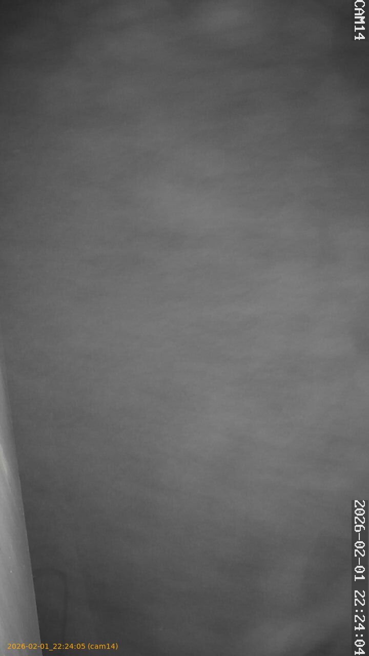 thumbnail_20260201222405