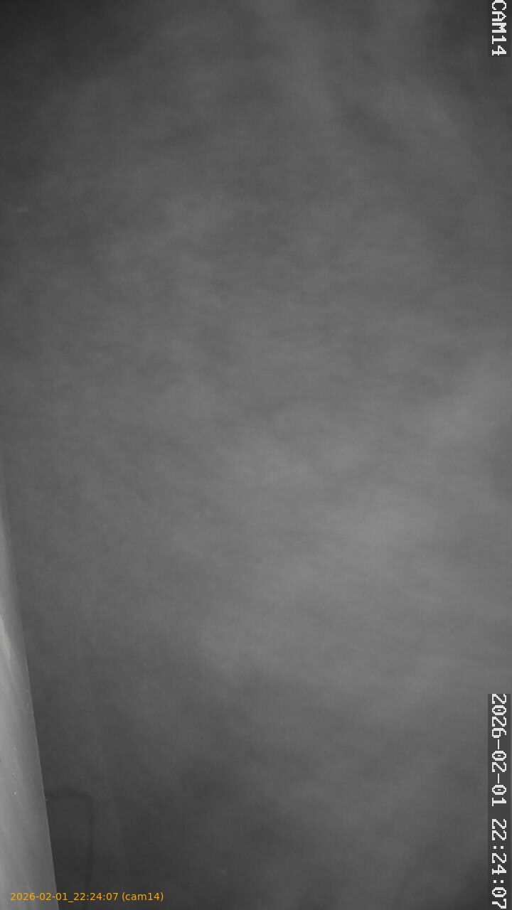 thumbnail_20260201222407