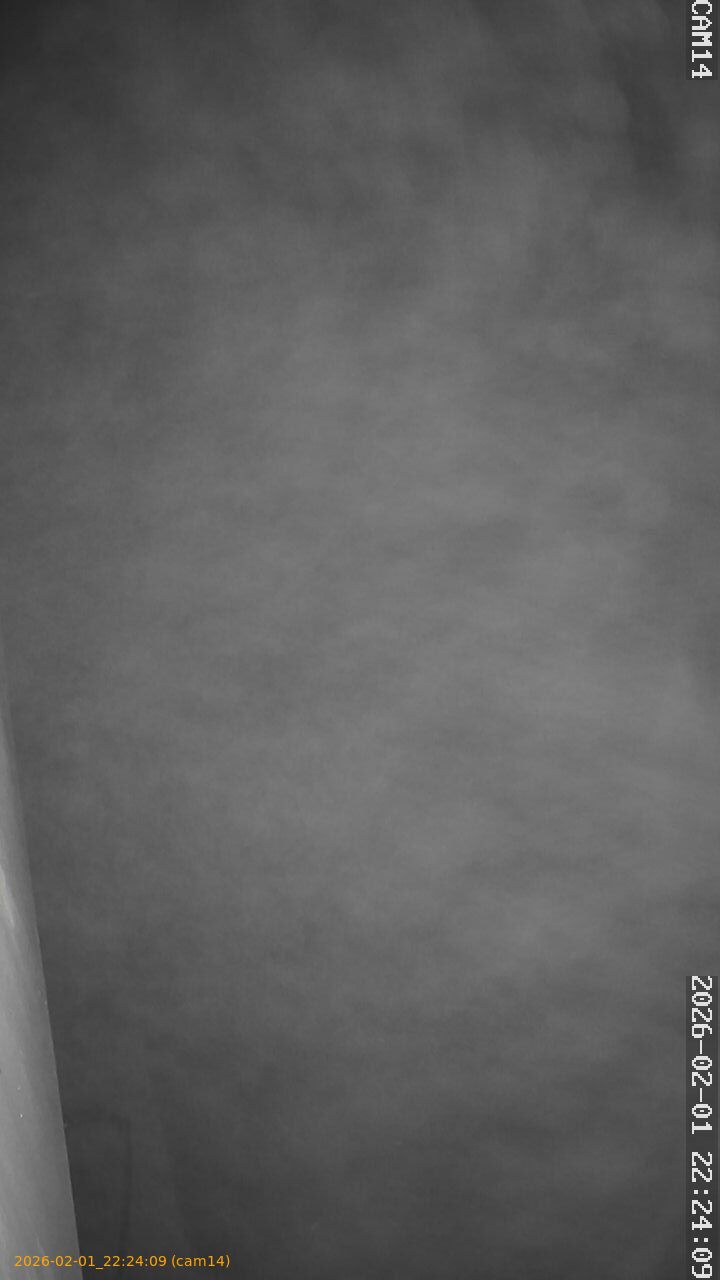 thumbnail_20260201222409