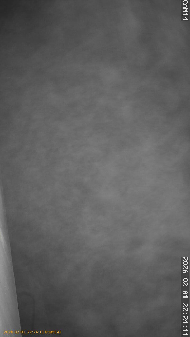 thumbnail_20260201222411