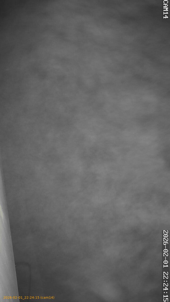 thumbnail_20260201222415