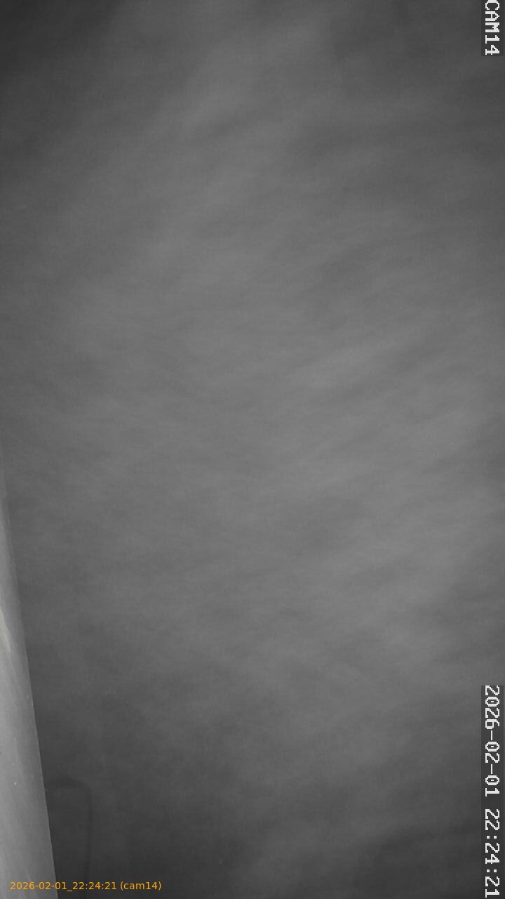 thumbnail_20260201222421