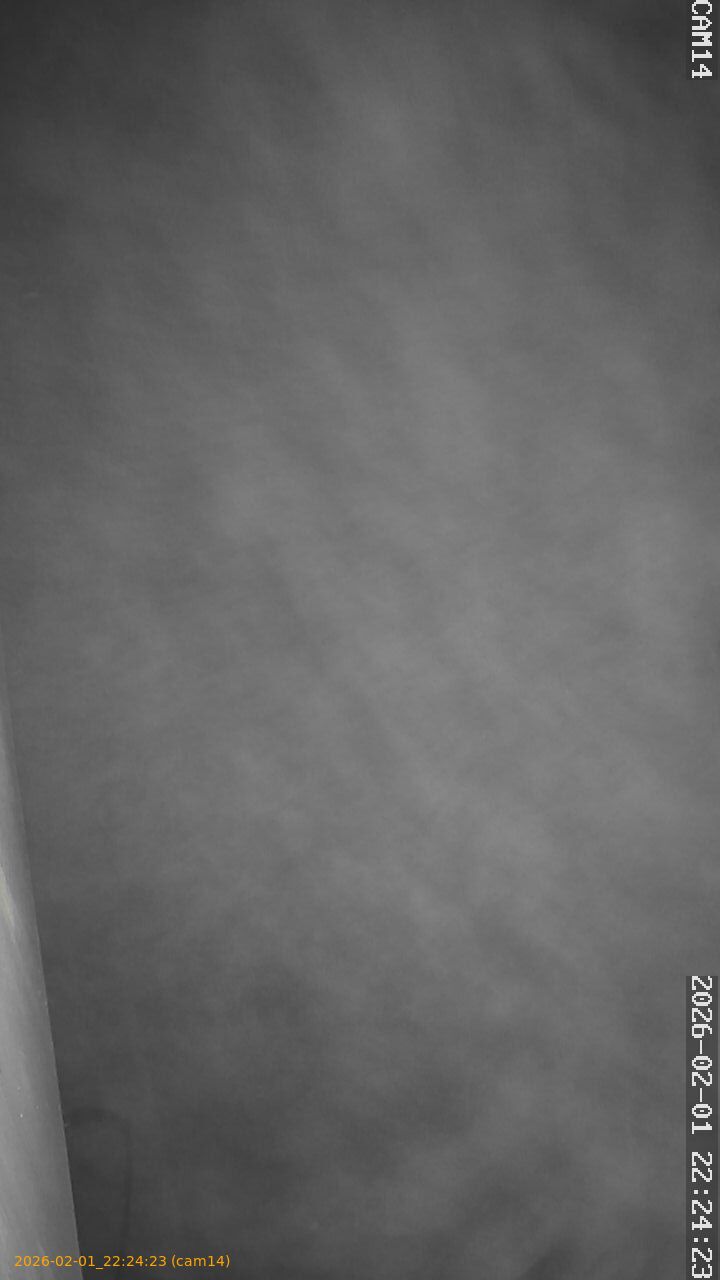 thumbnail_20260201222423