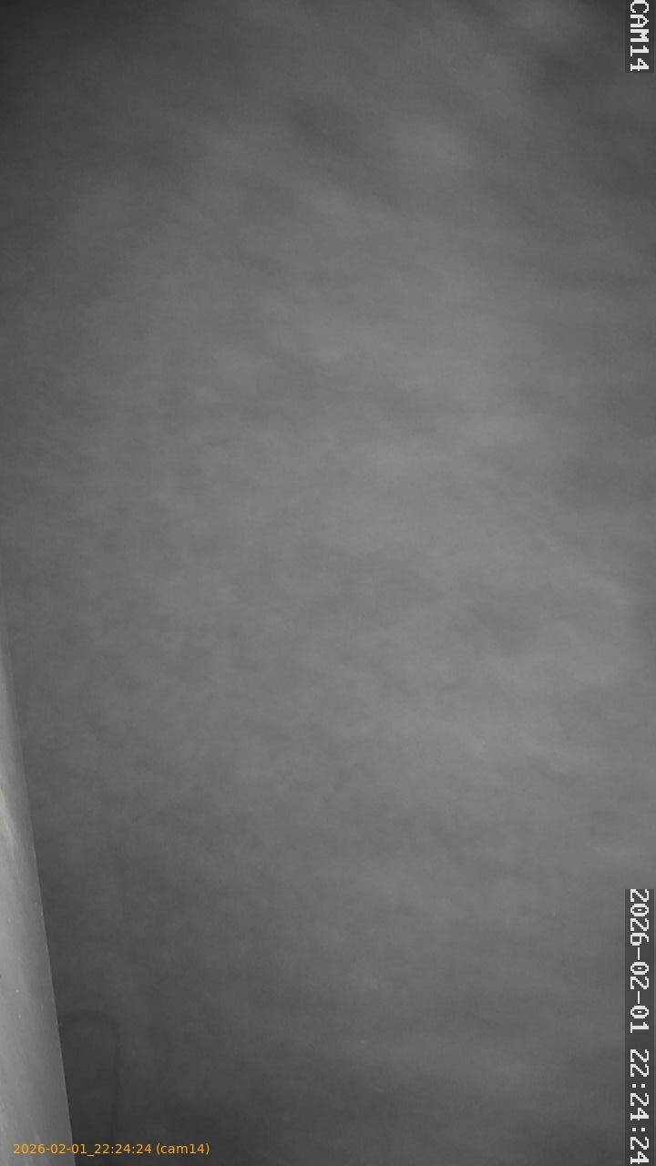 thumbnail_20260201222424