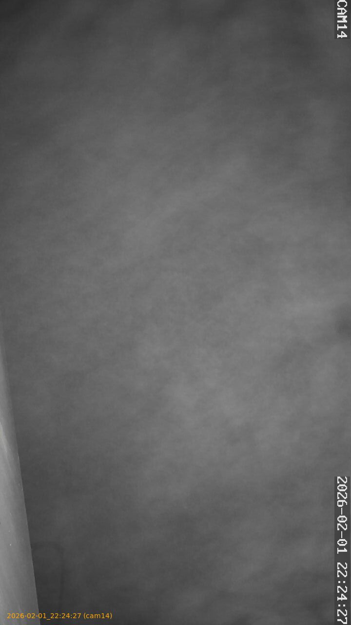 thumbnail_20260201222427