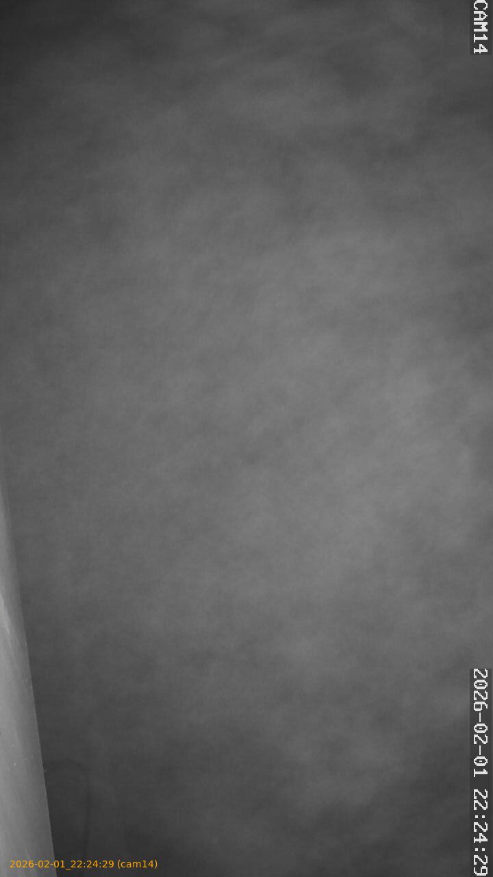 thumbnail_20260201222429