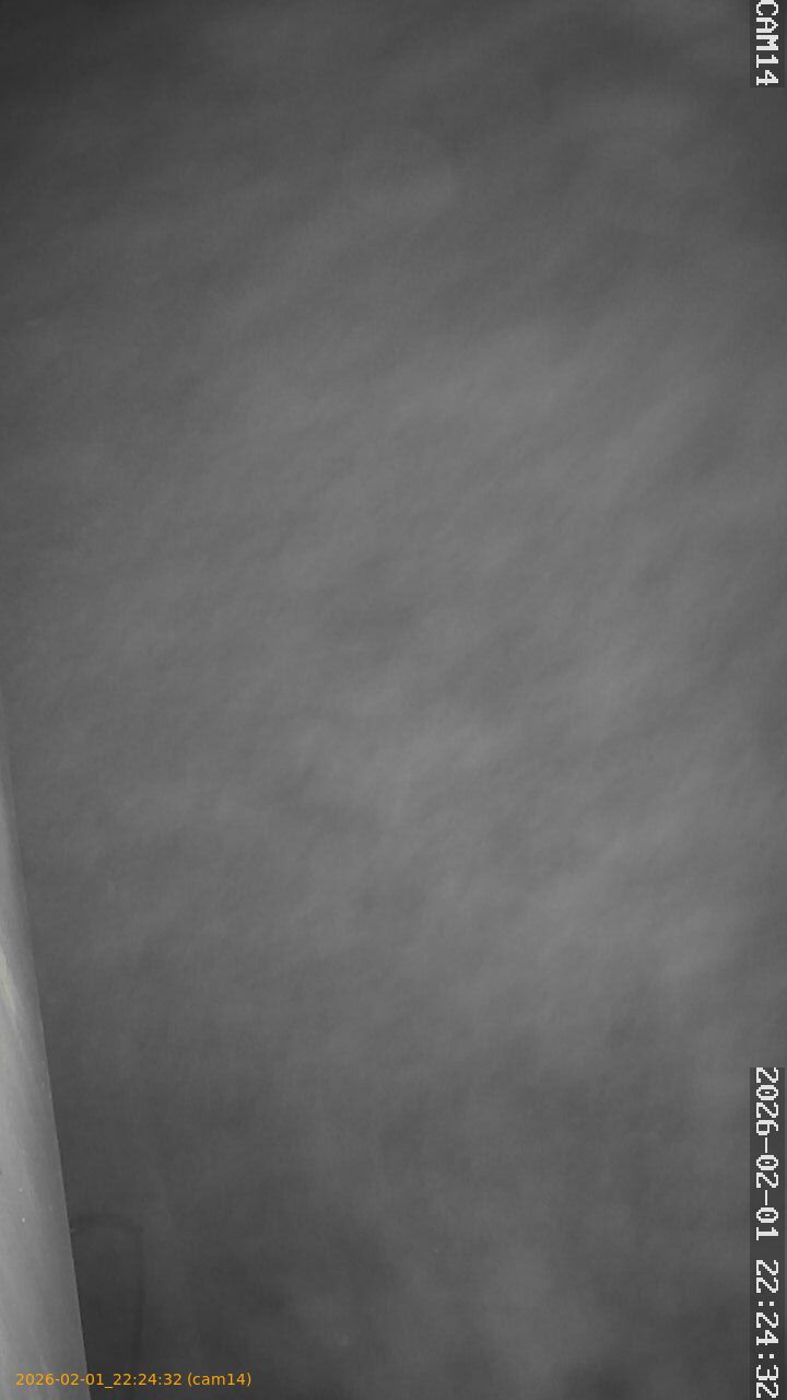 thumbnail_20260201222432