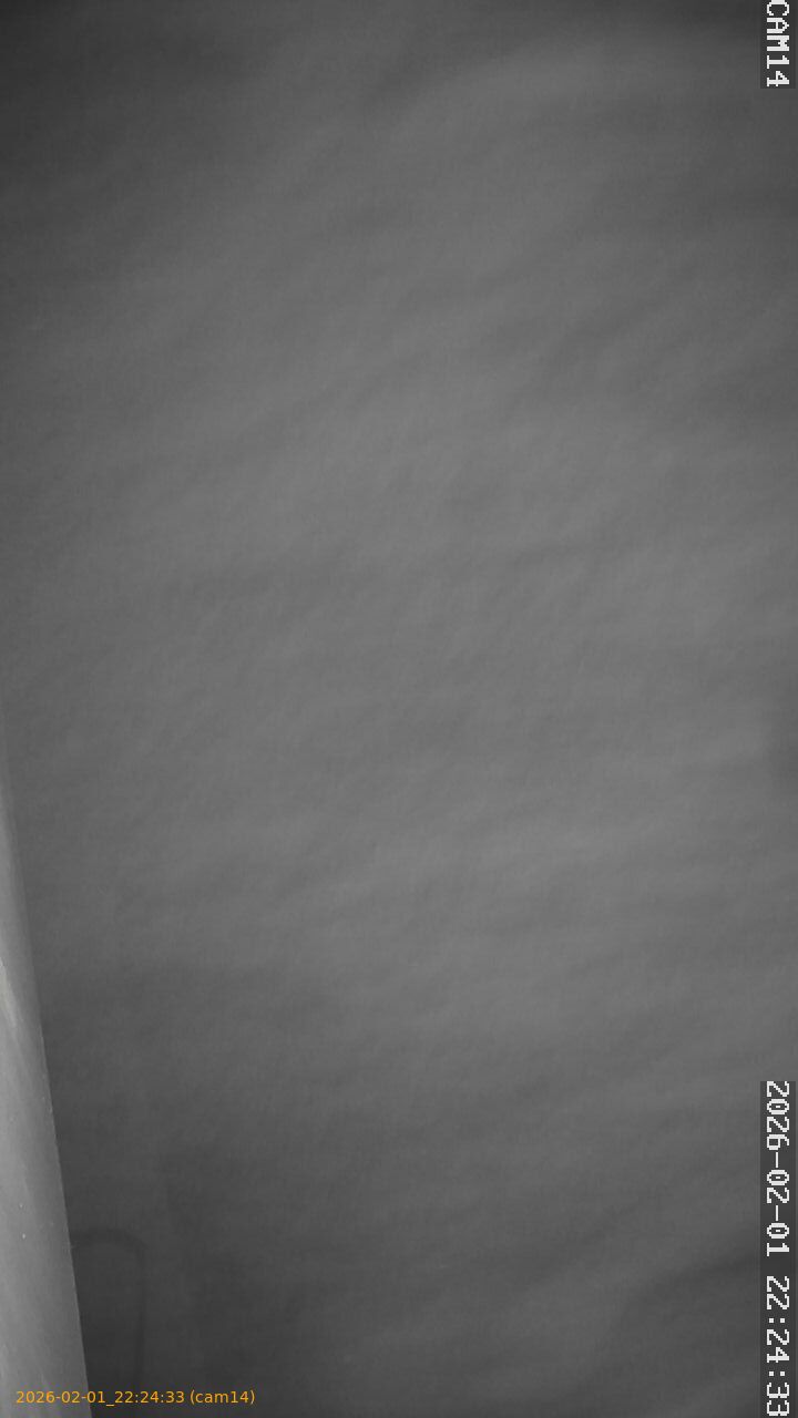 thumbnail_20260201222433