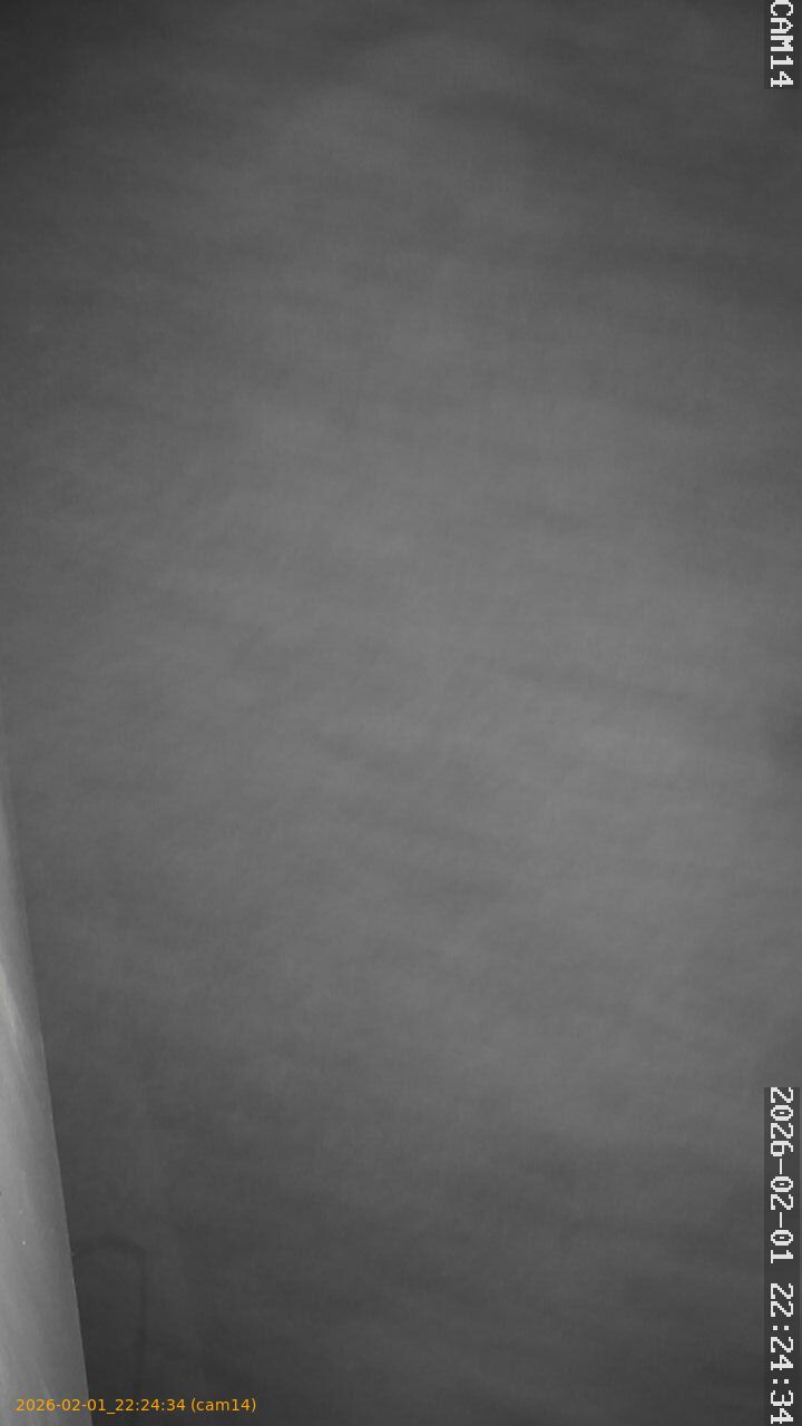 thumbnail_20260201222434