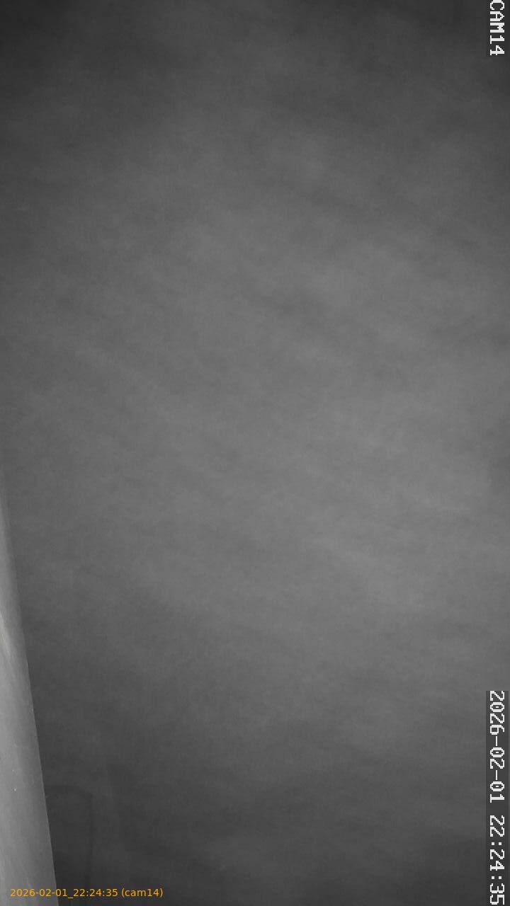 thumbnail_20260201222435