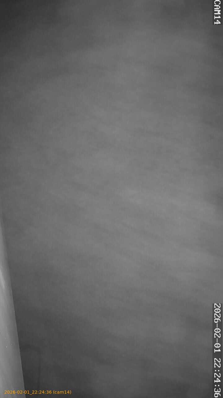 thumbnail_20260201222436