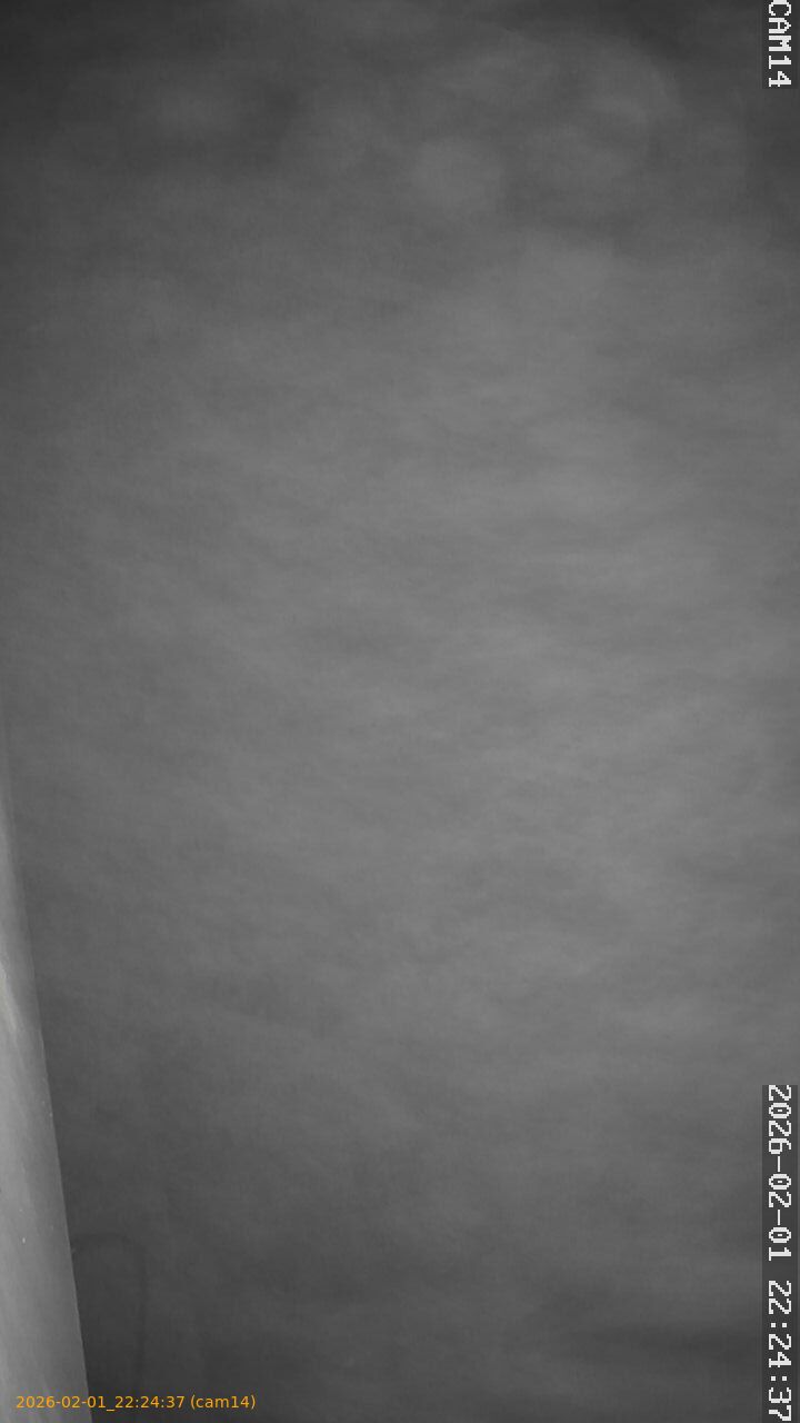 thumbnail_20260201222437