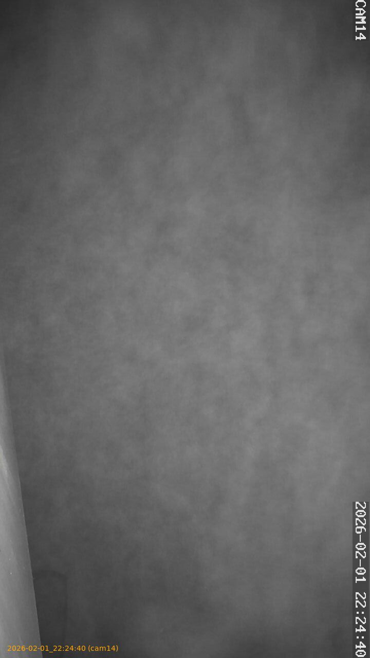 thumbnail_20260201222440