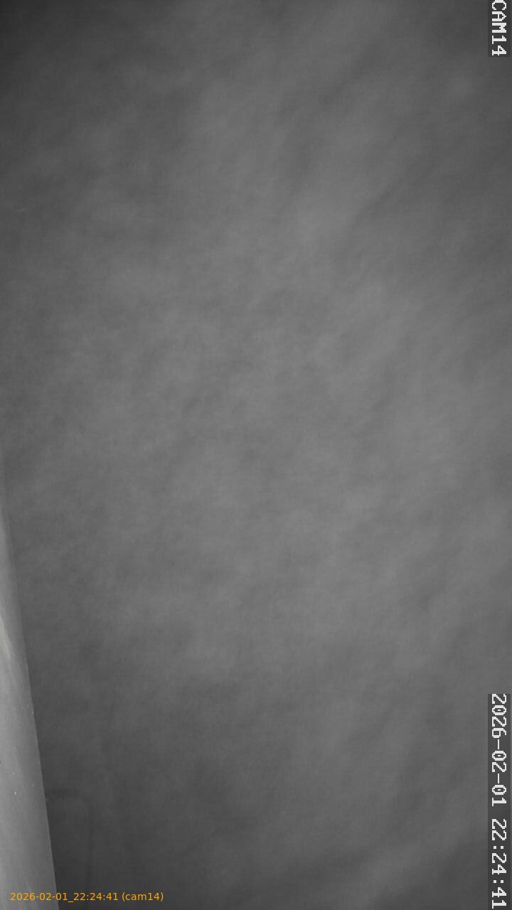 thumbnail_20260201222441