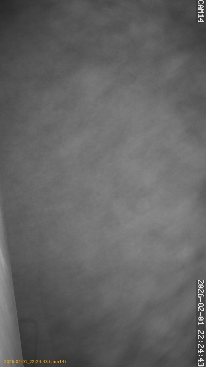 thumbnail_20260201222443