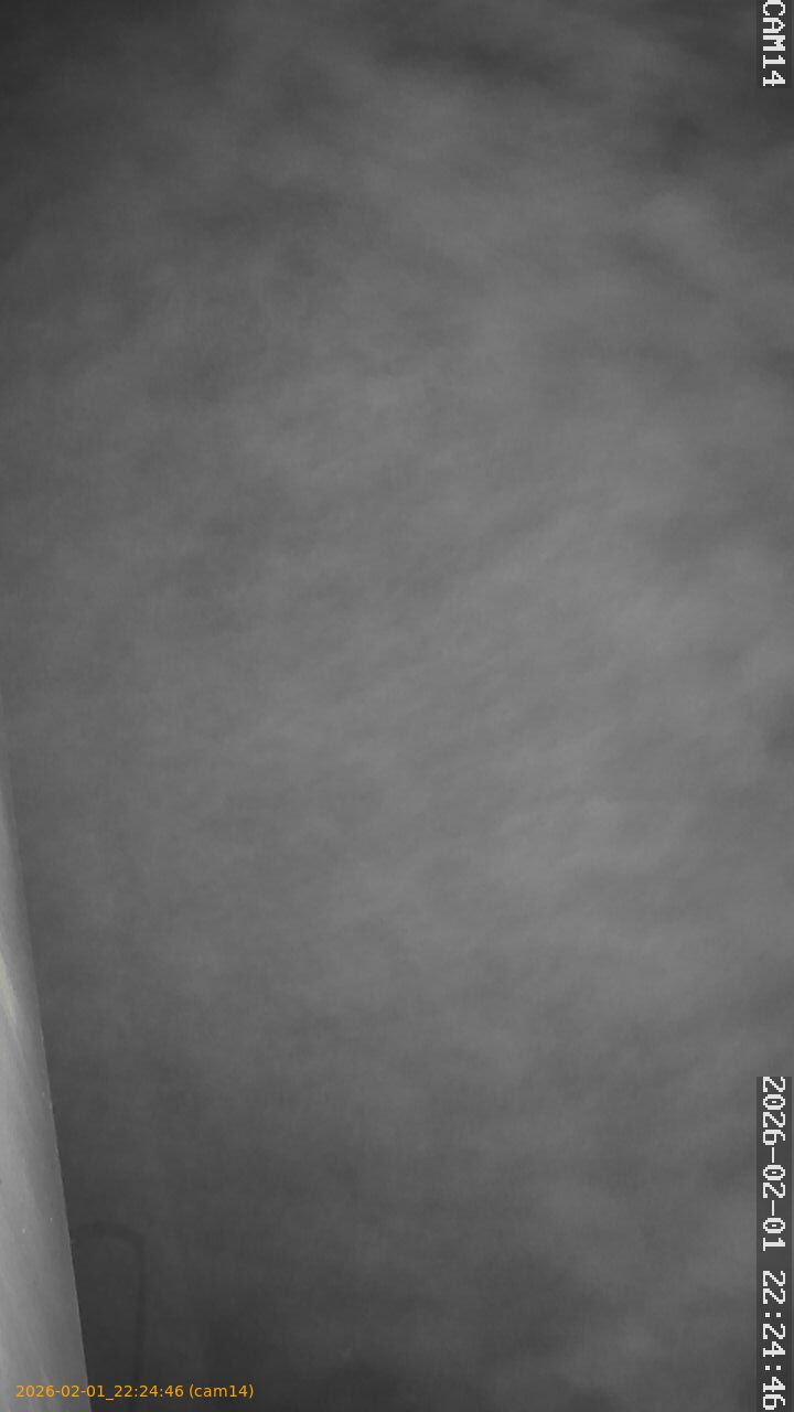 thumbnail_20260201222446