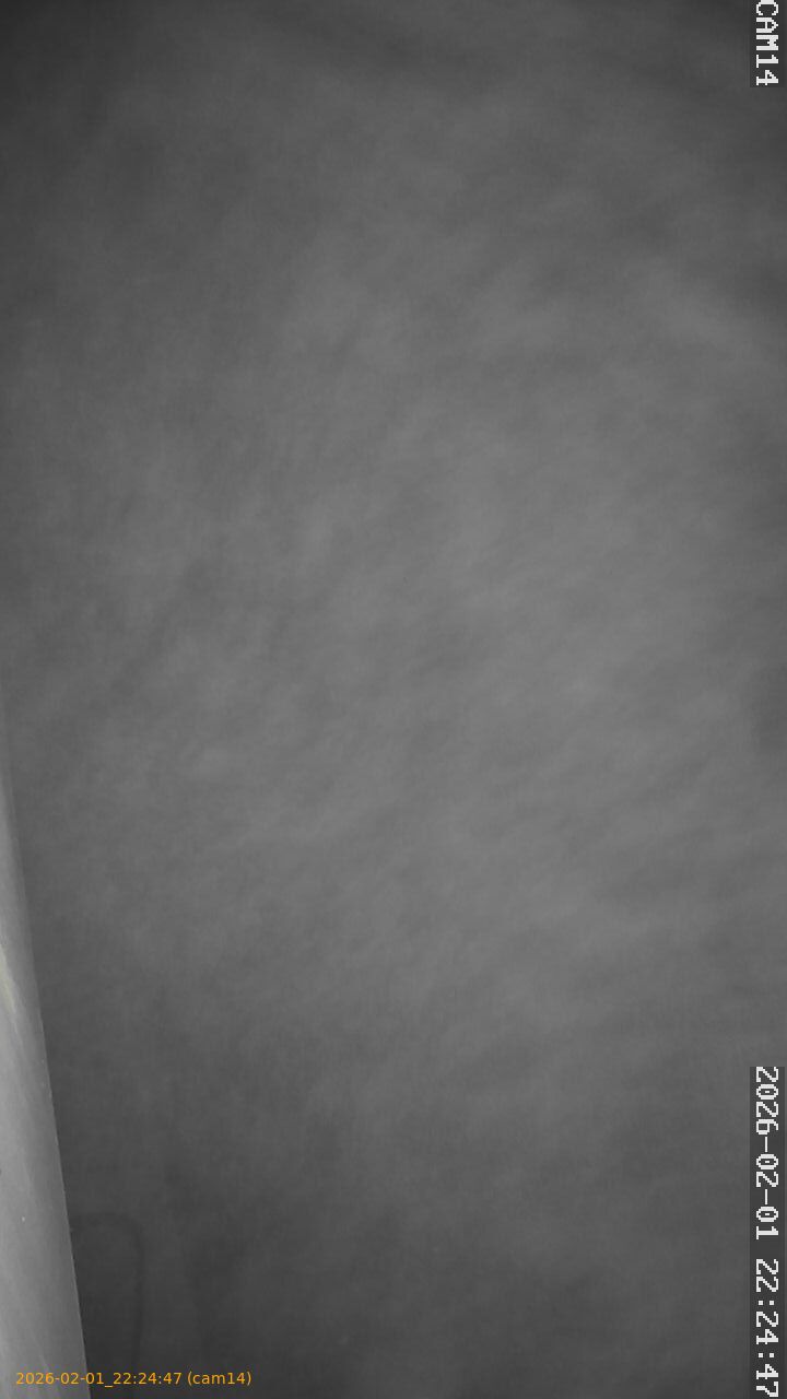 thumbnail_20260201222447