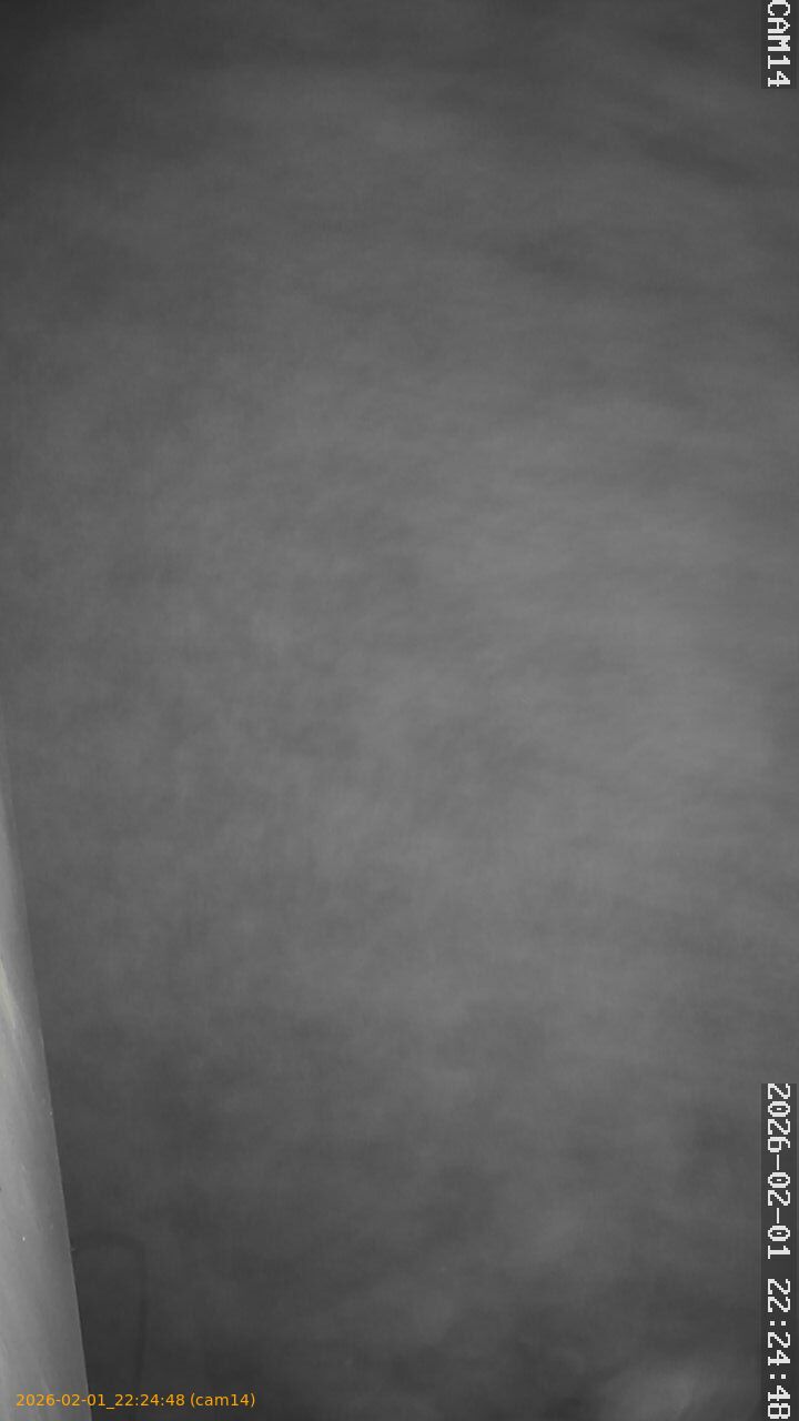 thumbnail_20260201222448