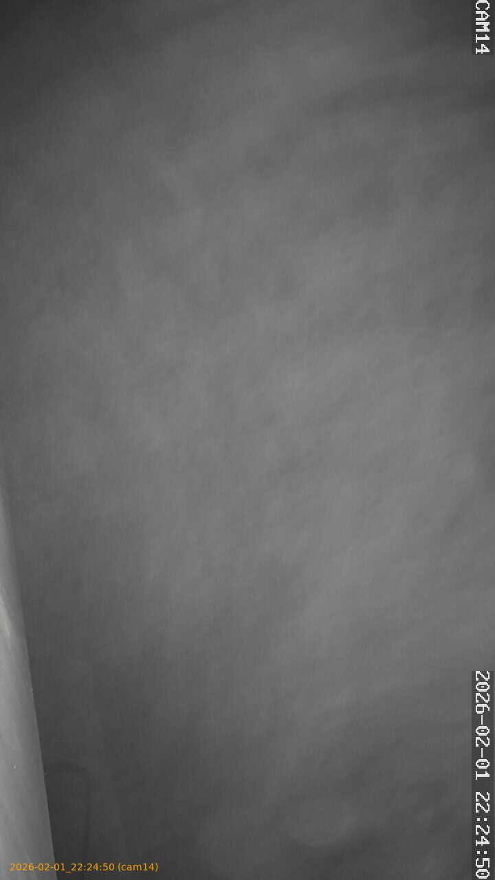 thumbnail_20260201222450