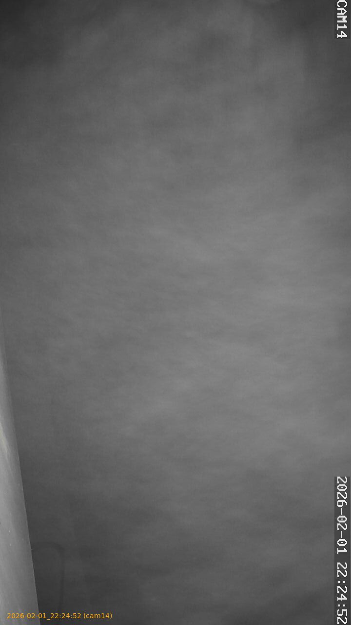 thumbnail_20260201222452