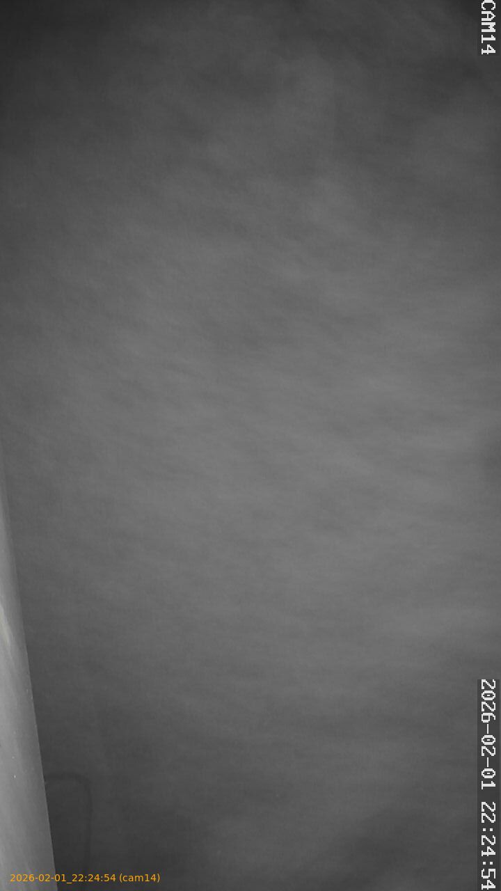 thumbnail_20260201222454