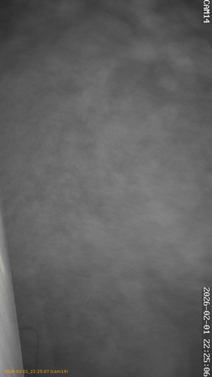 thumbnail_20260201222507