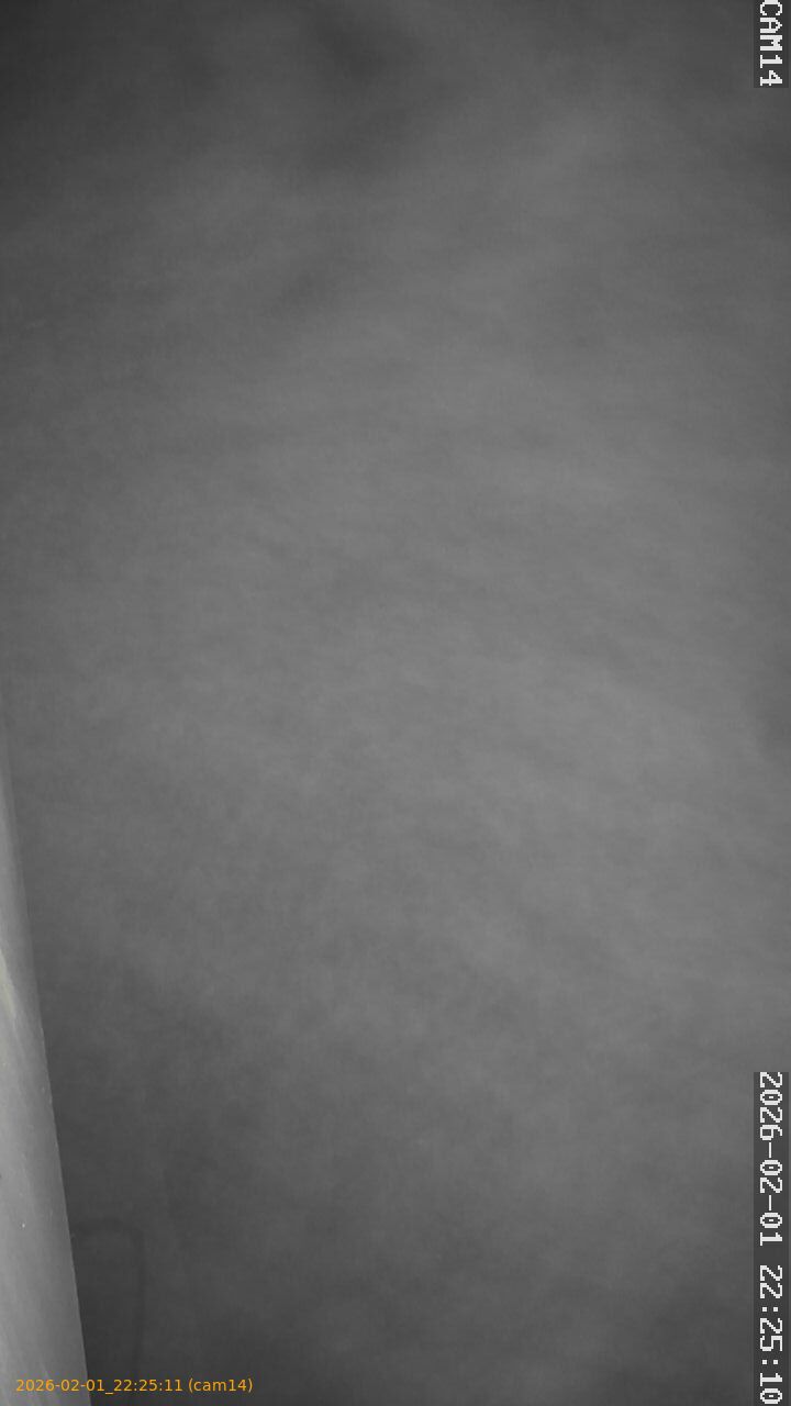 thumbnail_20260201222511