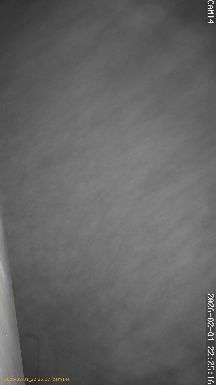 thumbnail_20260201222517