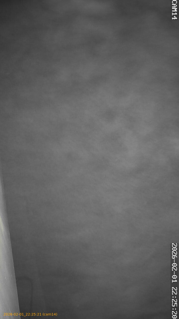 thumbnail_20260201222521