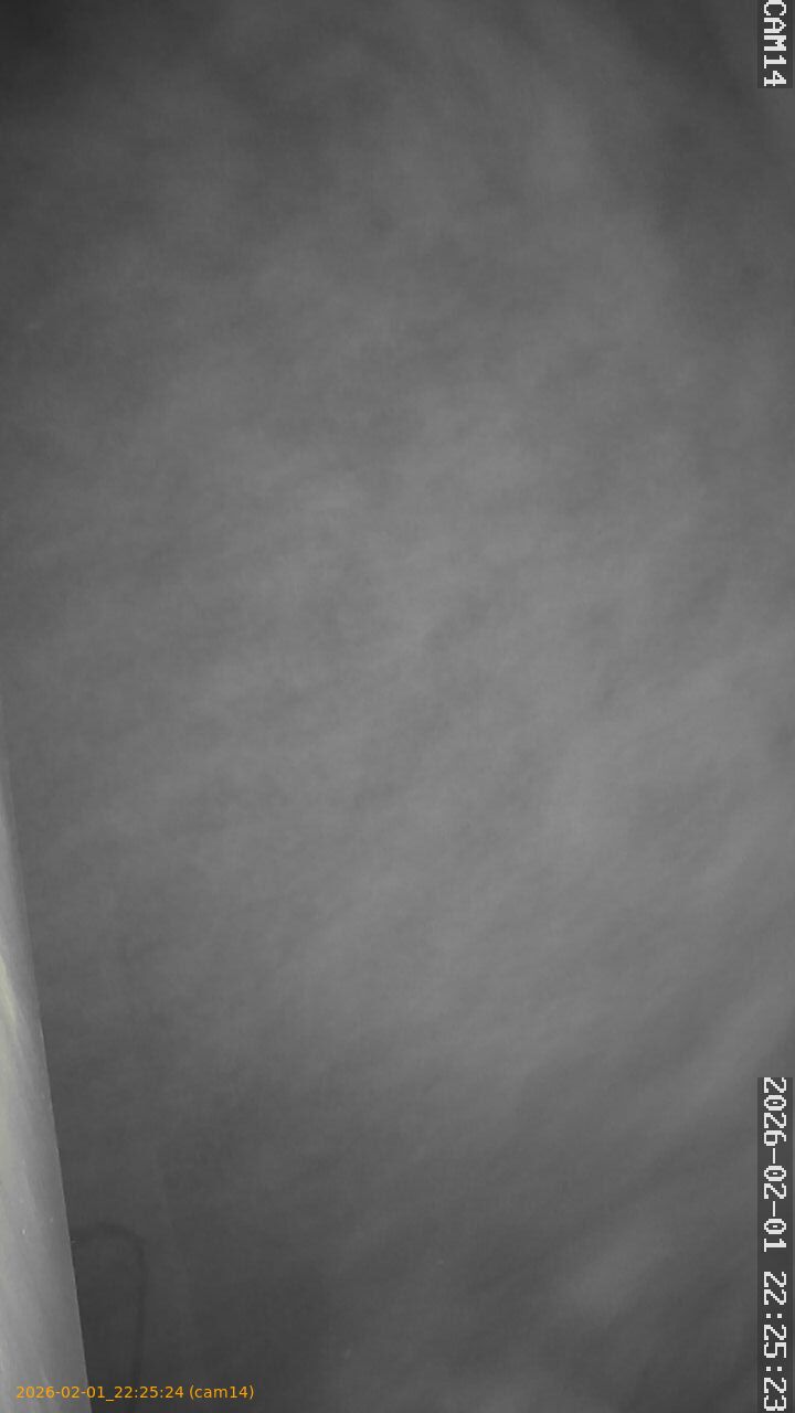 thumbnail_20260201222524