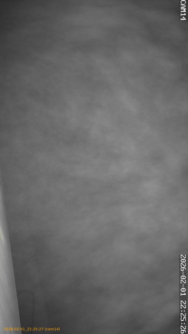 thumbnail_20260201222527