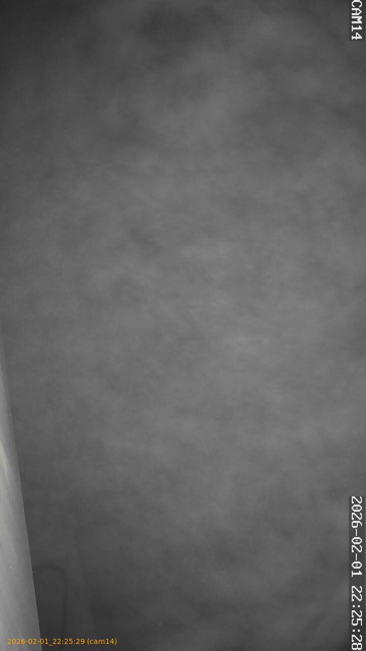 thumbnail_20260201222529