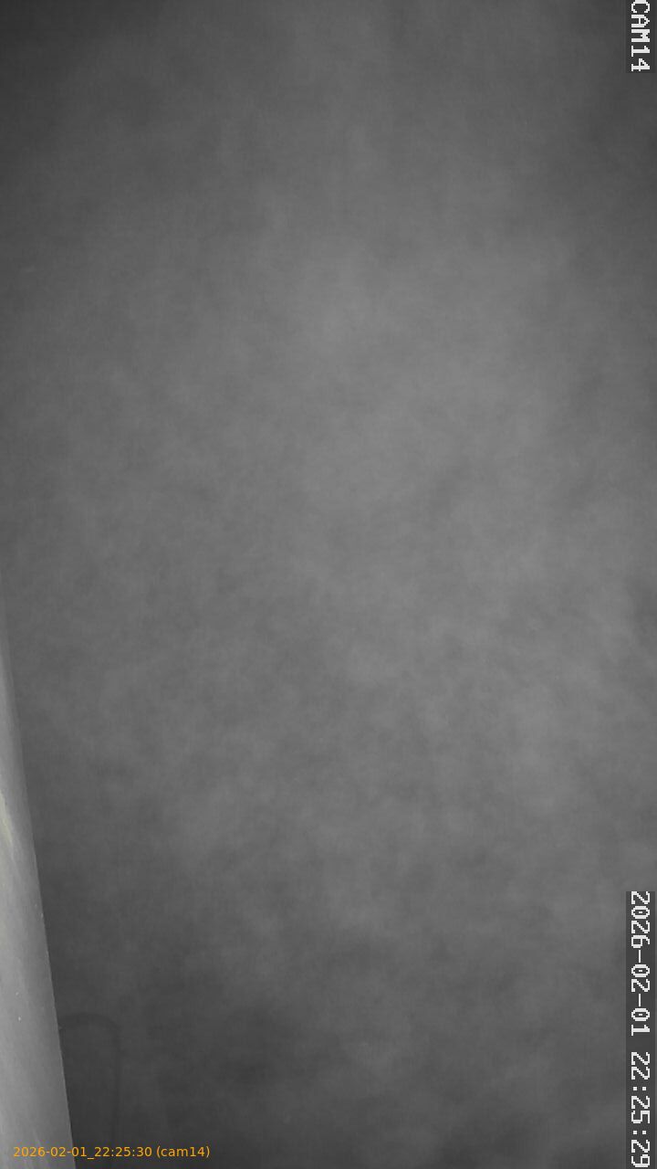 thumbnail_20260201222530