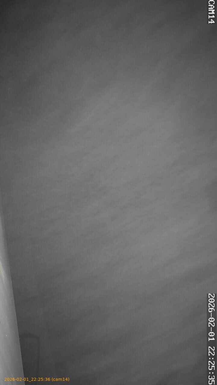 thumbnail_20260201222536