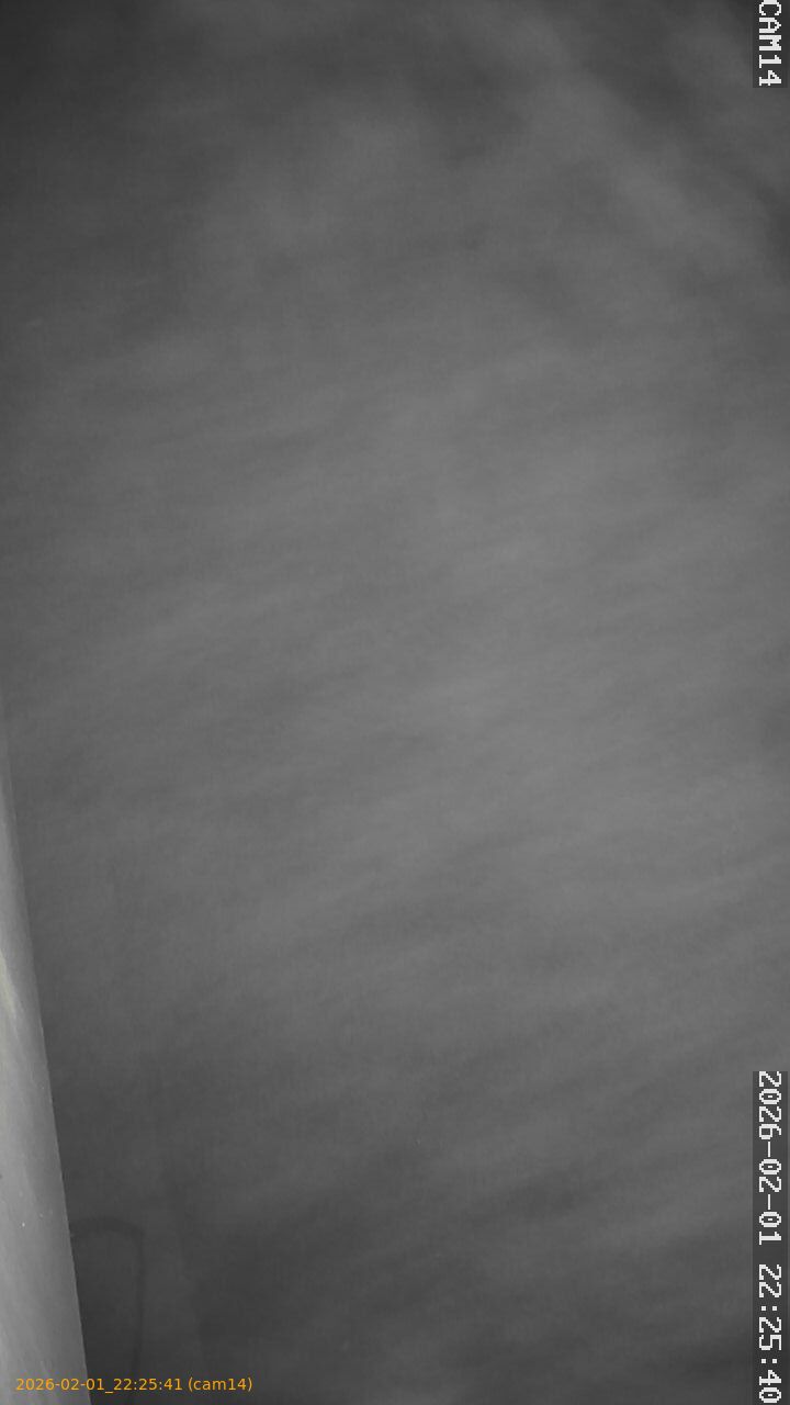 thumbnail_20260201222541