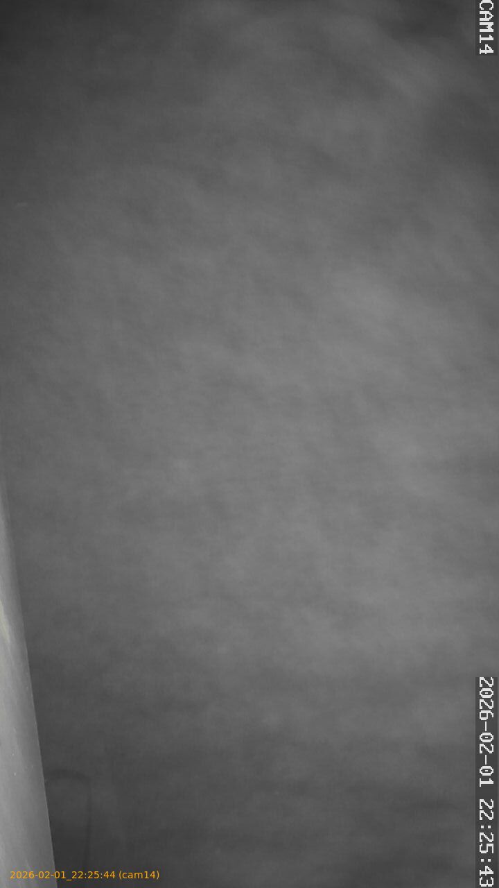 thumbnail_20260201222544