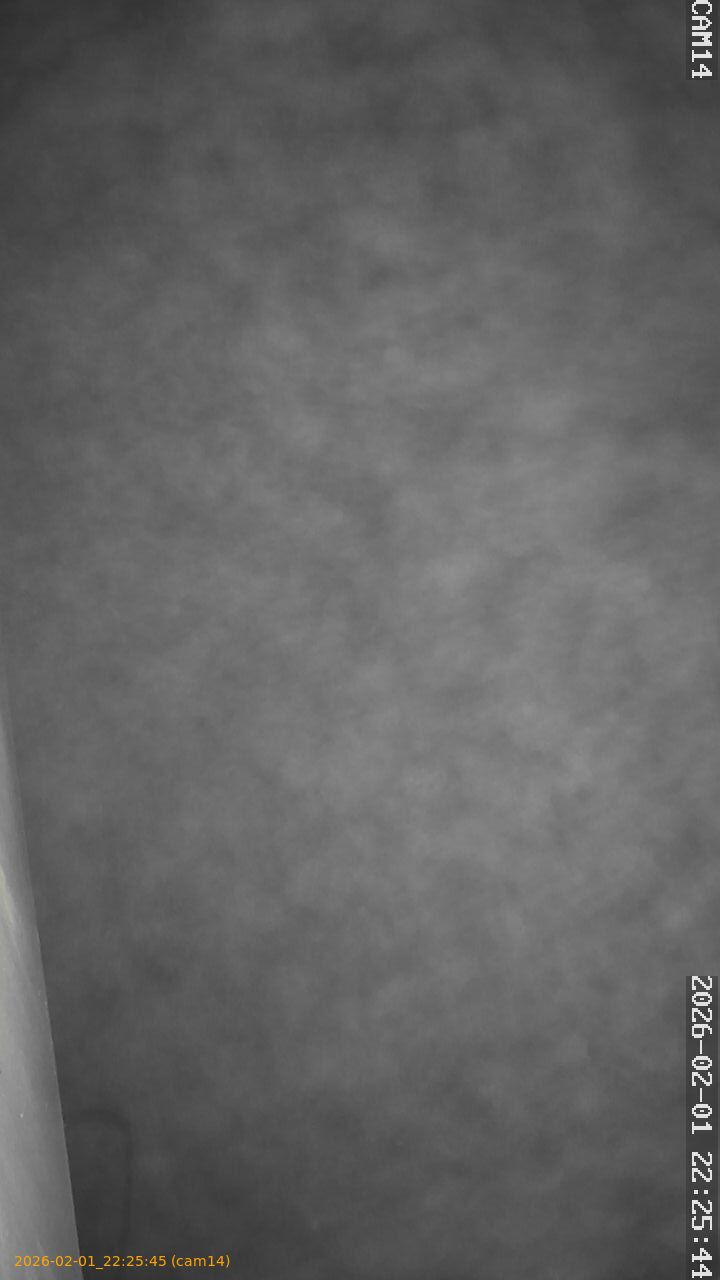 thumbnail_20260201222545