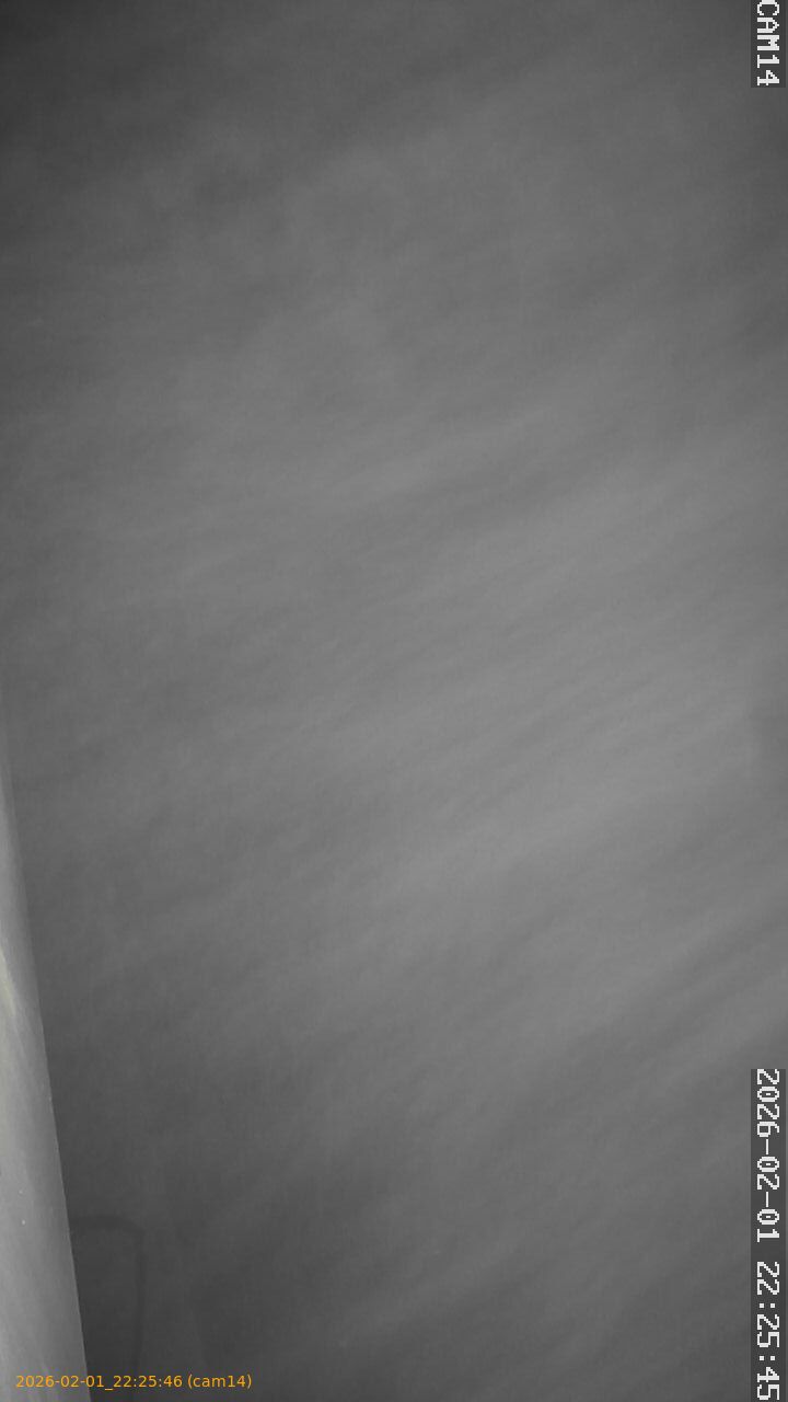 thumbnail_20260201222546