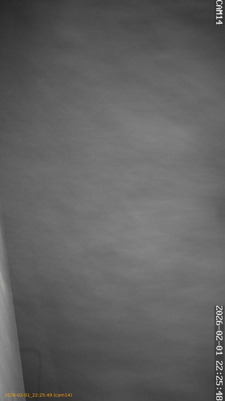 thumbnail_20260201222549